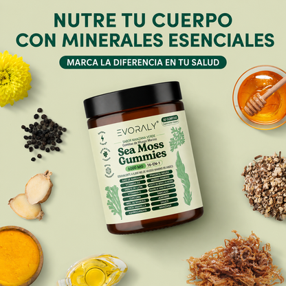 Evoraly Gomitas de Musgo Marino 16-En-1